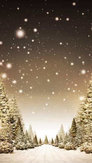 冬季森林路径下雪iPhone 5壁纸