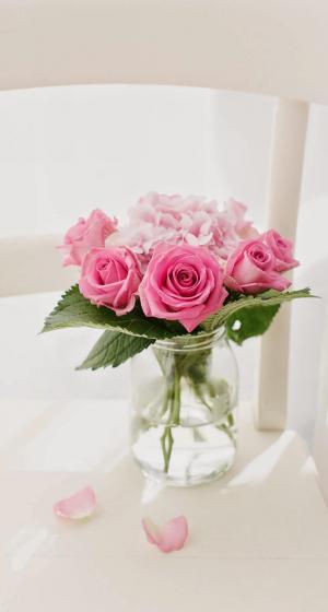 粉红玫瑰花束花瓶iPhone 6 Plus高清壁纸