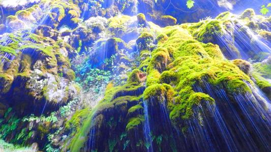 黎巴嫩瀑布下的绿色青苔
