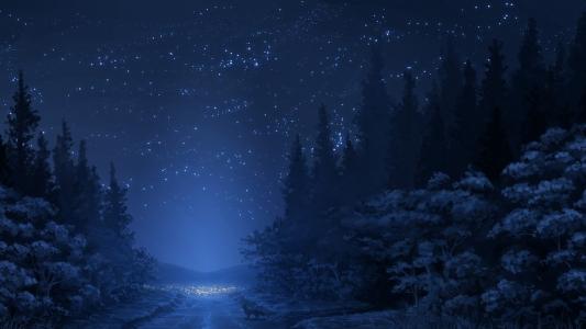 冬天的夜晚天空Mac壁纸