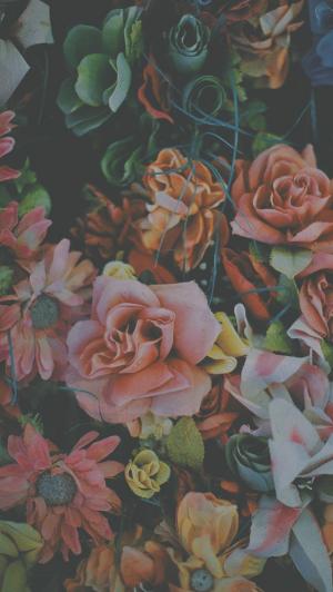 粉红玫瑰百合观赏花束iPhone 5壁纸