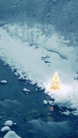 圣诞树灯森林河冬季iPhone 5壁纸