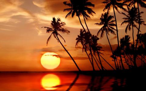 在热带天堂的Mac壁纸的日落