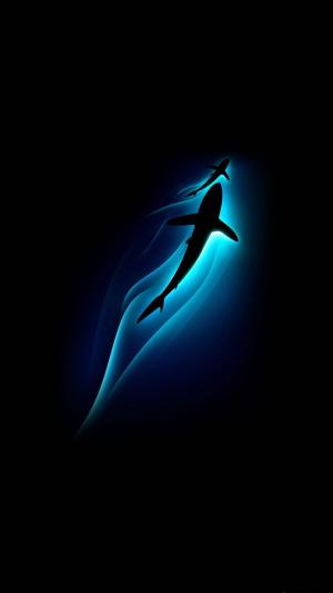 鲨鱼海洋深度光iPhone 6 Plus高清壁纸