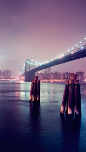城市景观点亮桥梁iPhone 5壁纸