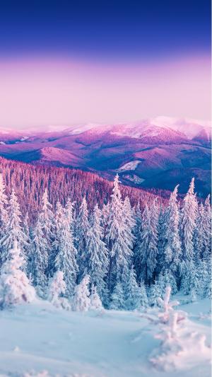 紫色冬季山风景iPhone 6壁纸