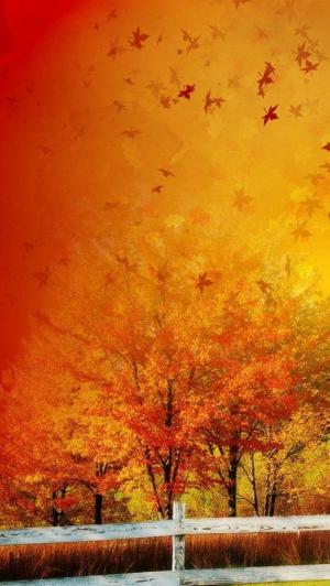 美丽的秋天的颜色渐变iPhone 5壁纸