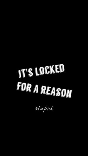It’s Locked For A Reason Stupid iPhone 6 Wallpaper
