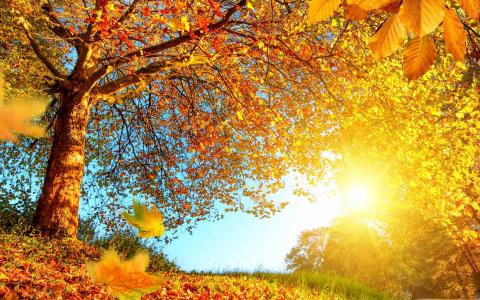 美丽的秋天风景Mac壁纸