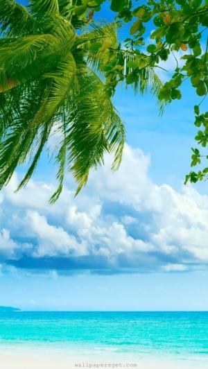热带天堂海滩和棕榈树iPhone 5壁纸