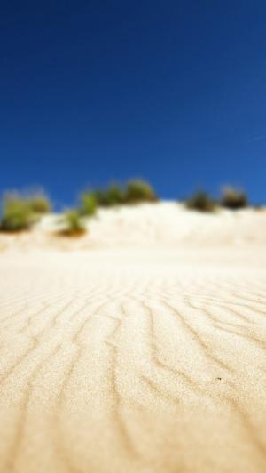 沙漠沙丘焦点iPhone 5壁纸