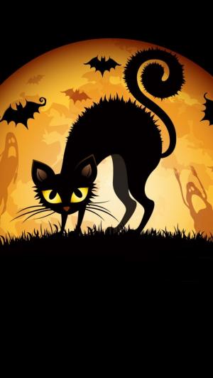 受惊吓的猫与蝙蝠和鬼iPhone 5壁纸
