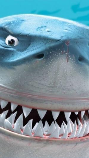 寻找尼摩布鲁斯鲨鱼iPhone 5壁纸
