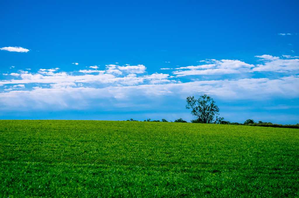 蓝天云海绿色草坪图片