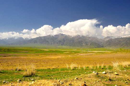 新疆阿尔夏提风光图片