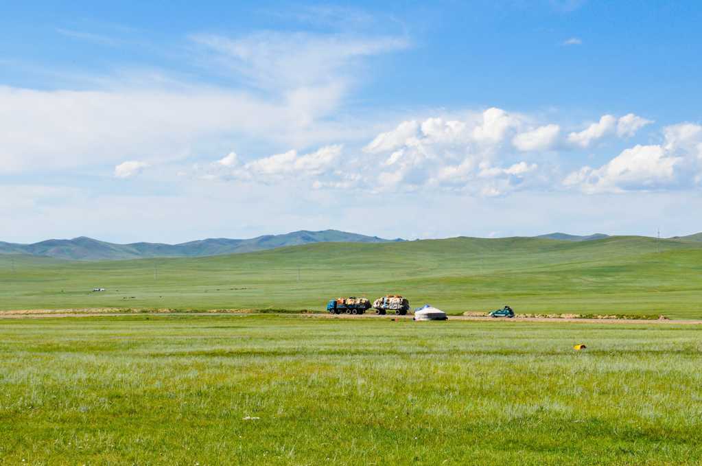 碧草连天的蒙古草地图片