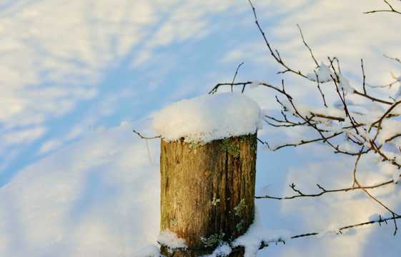雪地里的木桩图片