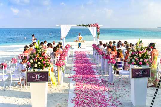 海滨婚礼图片