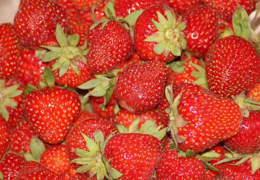 动人水果草莓图片