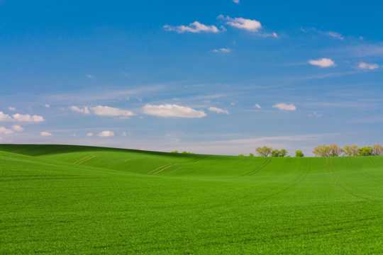 蓝天云海下绿色开阔的草地景物图片