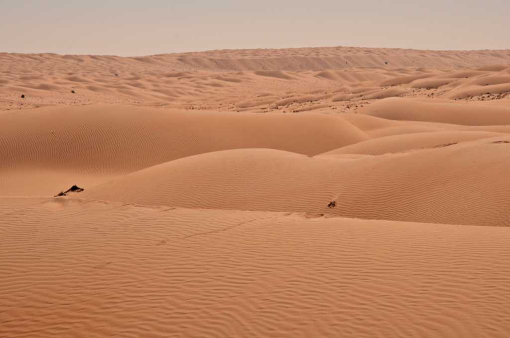 荒芜的大漠