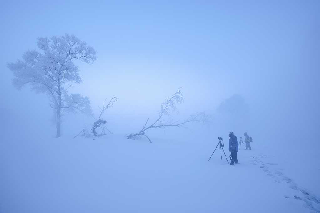 大雾笼罩的雾凇雪景
