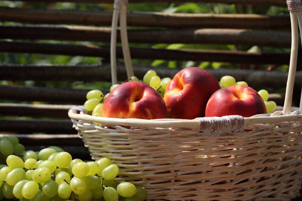 新鲜的葡萄和苹果图片