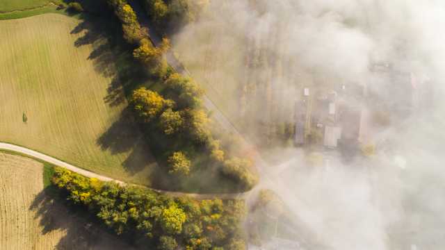 云雾笼罩的绿色田野