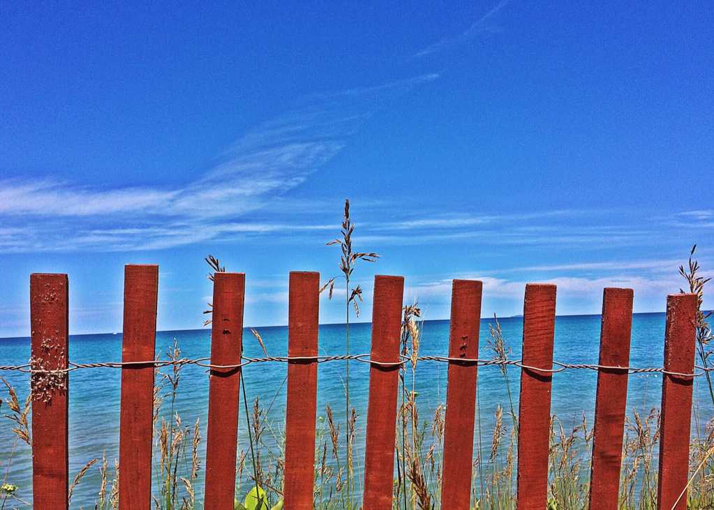 海岸上的木栅栏
