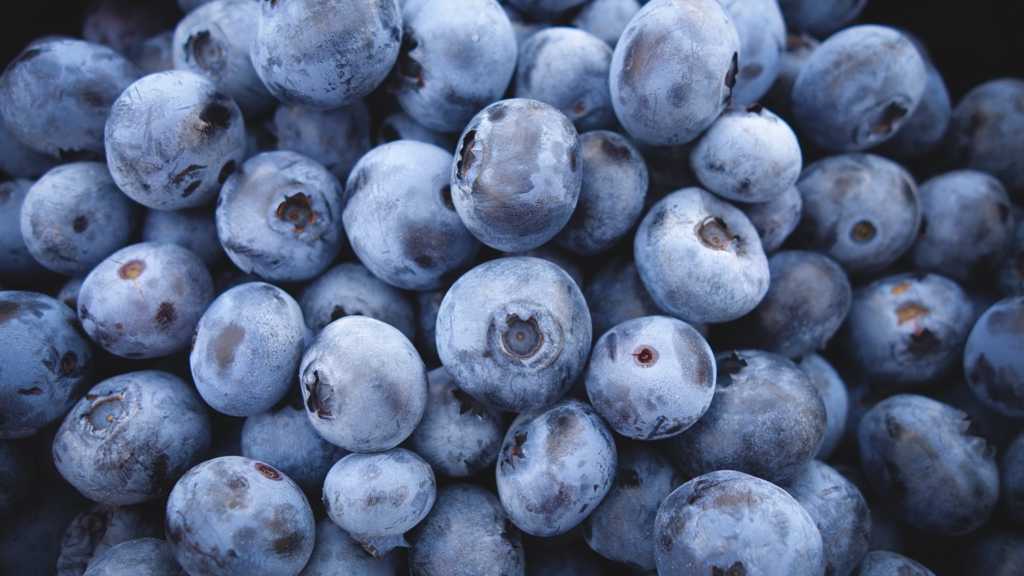 维生素超高的蓝莓图片