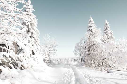 银装素裹的冬日雪景
