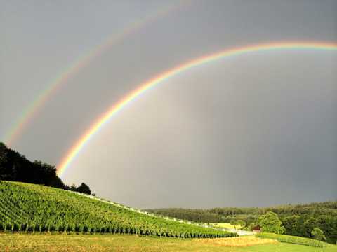 唯美的田园彩虹图片