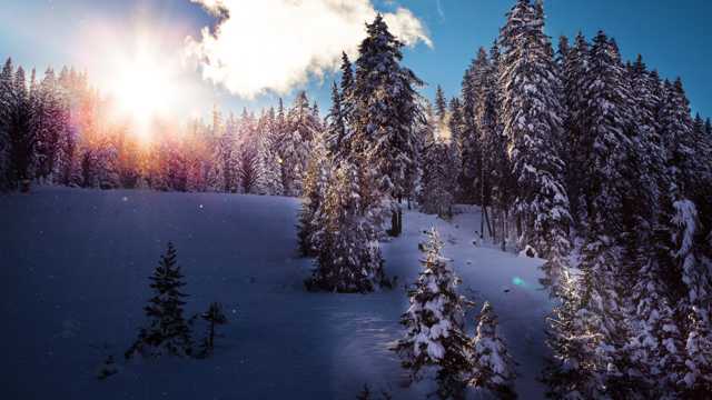 冬日早晨雪山景观图片