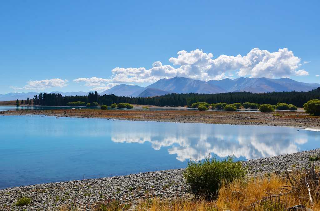 新西兰特卡波湖景致图片