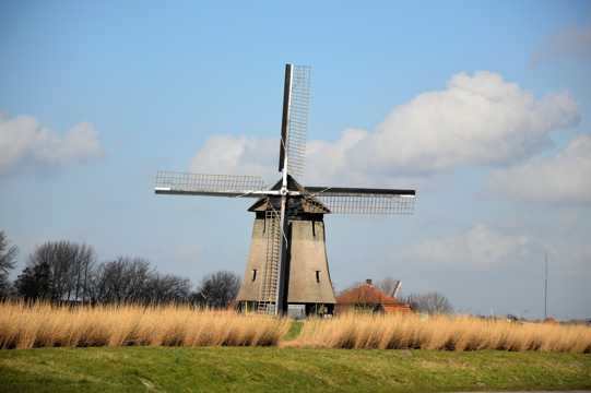 草场荷兰风车图片