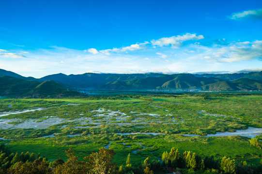 泸沽湖草海光景图片