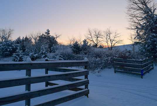 冬季室外篱笆雪景图片