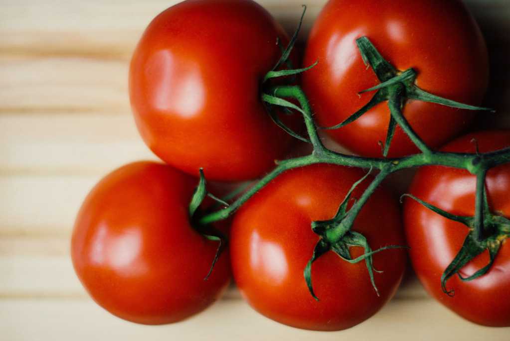 新绯红色的西红柿图片