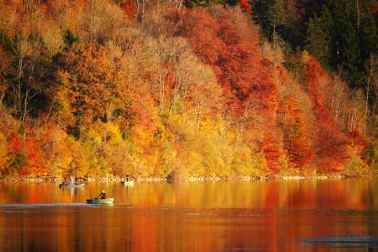 唯美的秋日景色图片