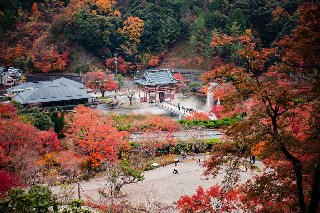 日本户外秋景图片