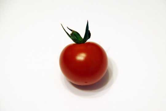 新鲜西红柿高清图片