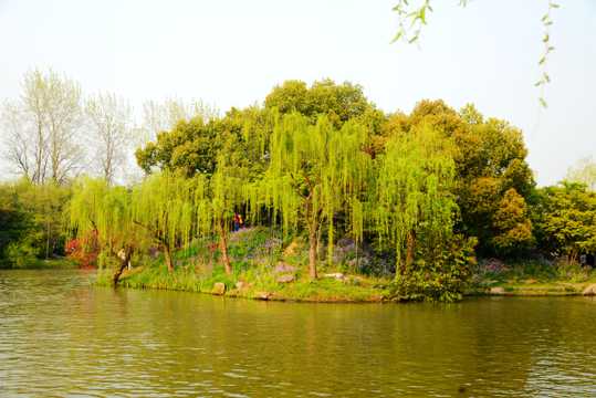 幽静的江苏扬州景色图片