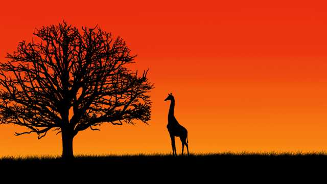 暮色树木长颈鹿剪影图片