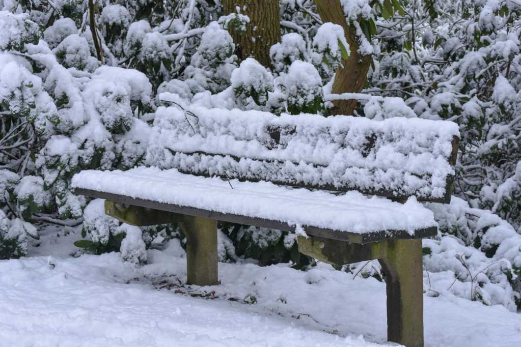 林间落满积雪的长椅