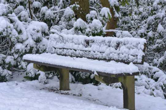 林间落满积雪的长椅