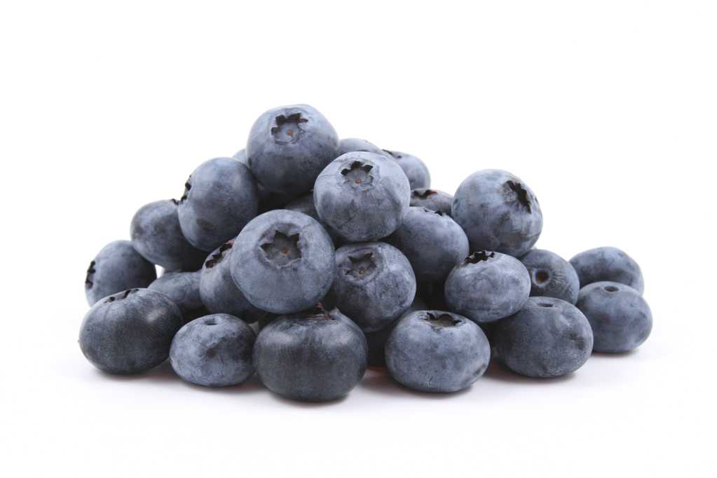 新鲜的的蓝莓图片