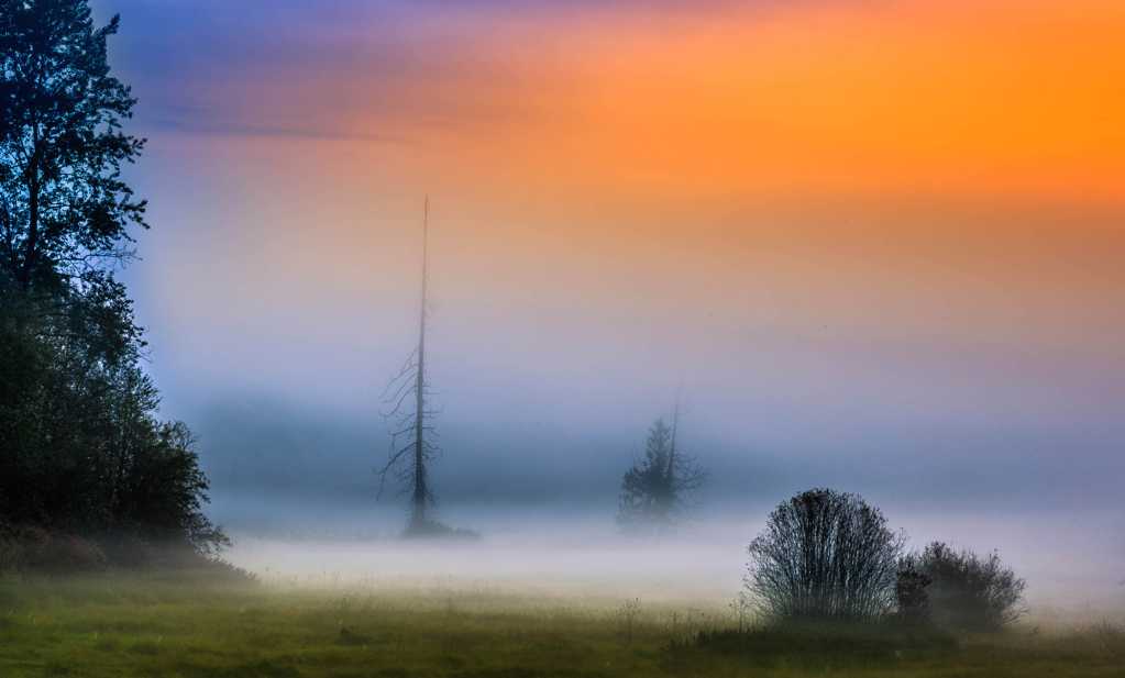 唯美的晨雾景致图片