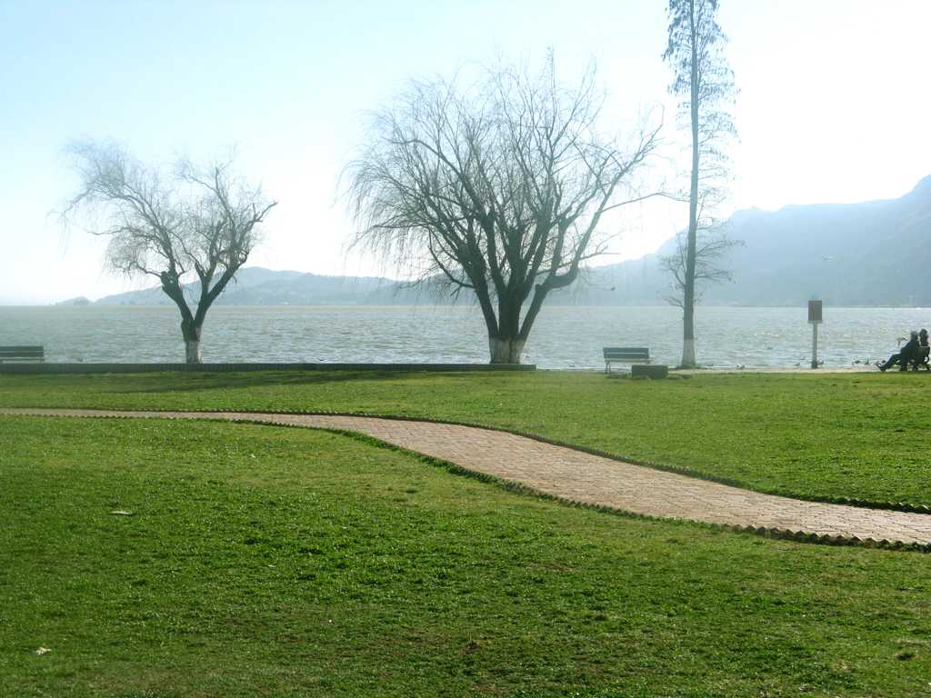 湖岸上的公园景致图片
