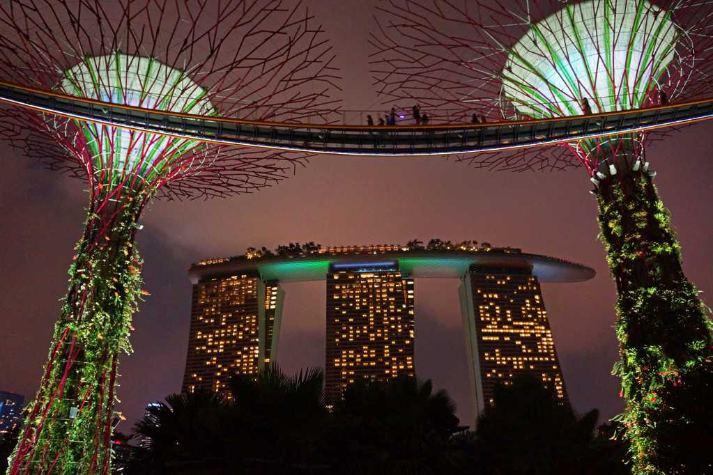 夜晚的新加坡滨海湾花园