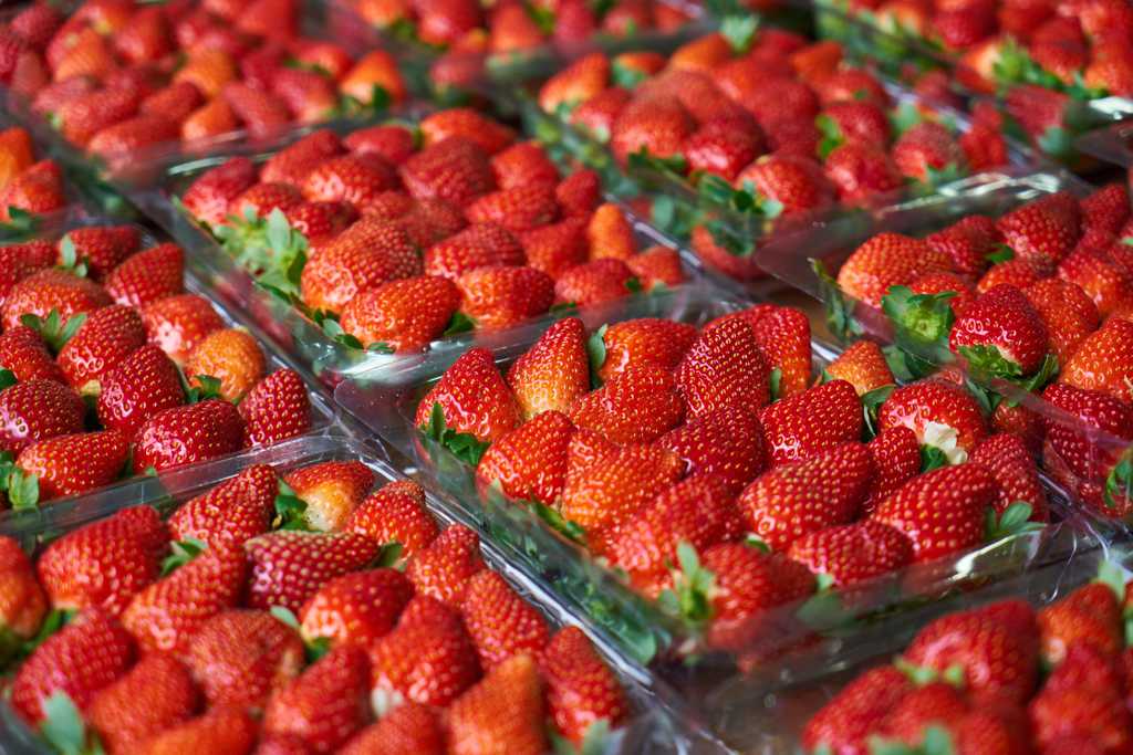 新鲜草莓批发图片